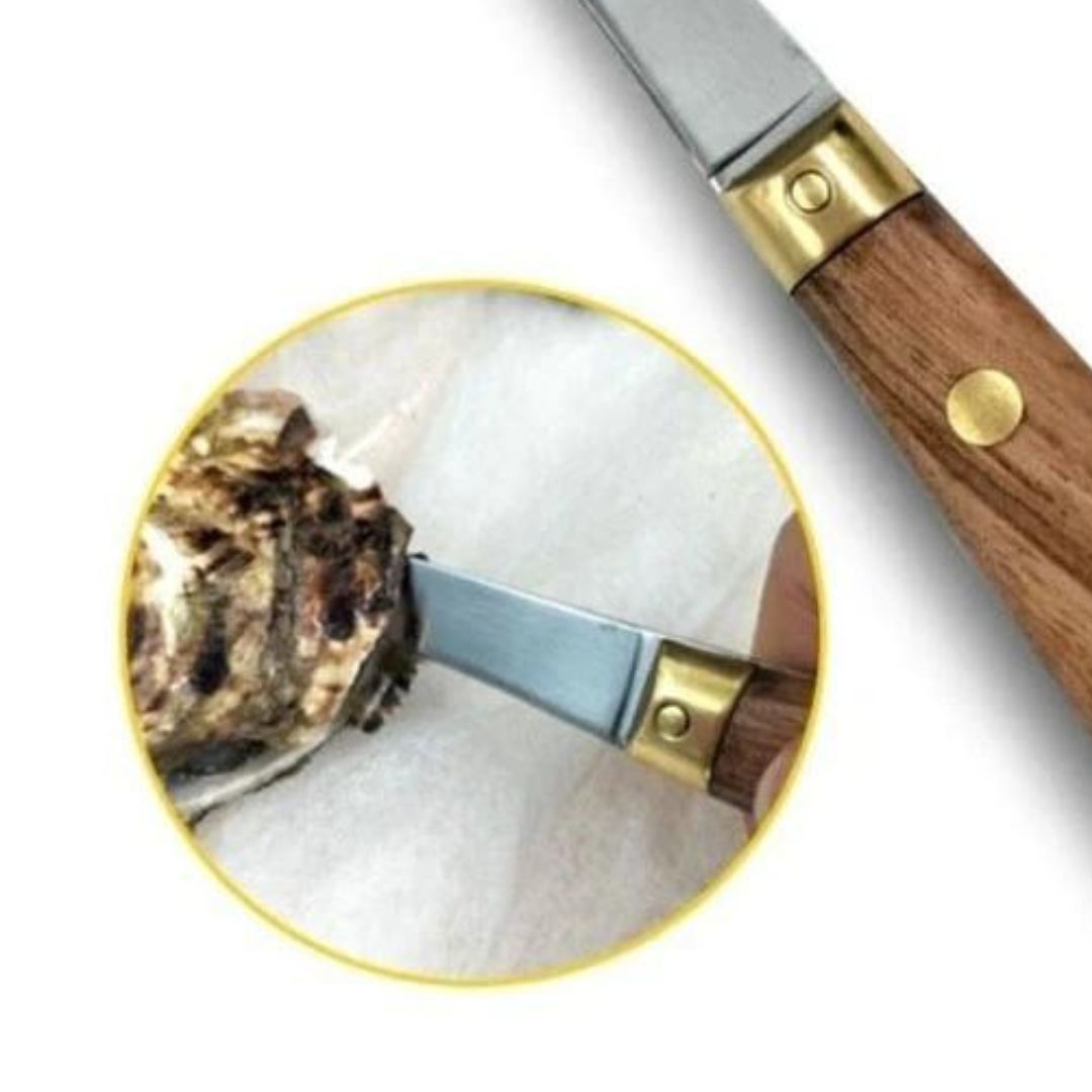 Oyster Knife | Eazy Azz Oyster Tray Oyster Shucking Knife image 2